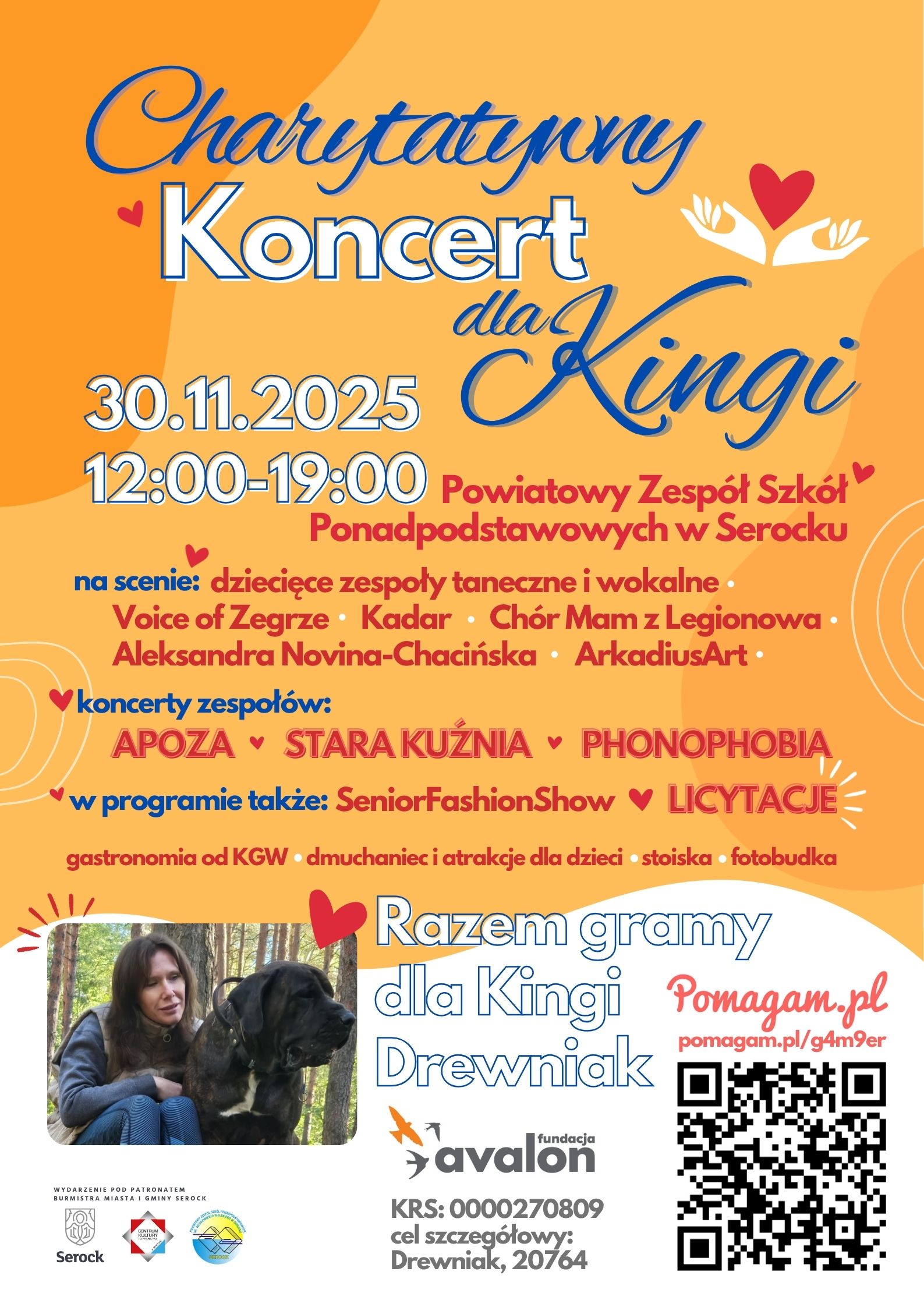 Koncert charytatywny dla Kingi